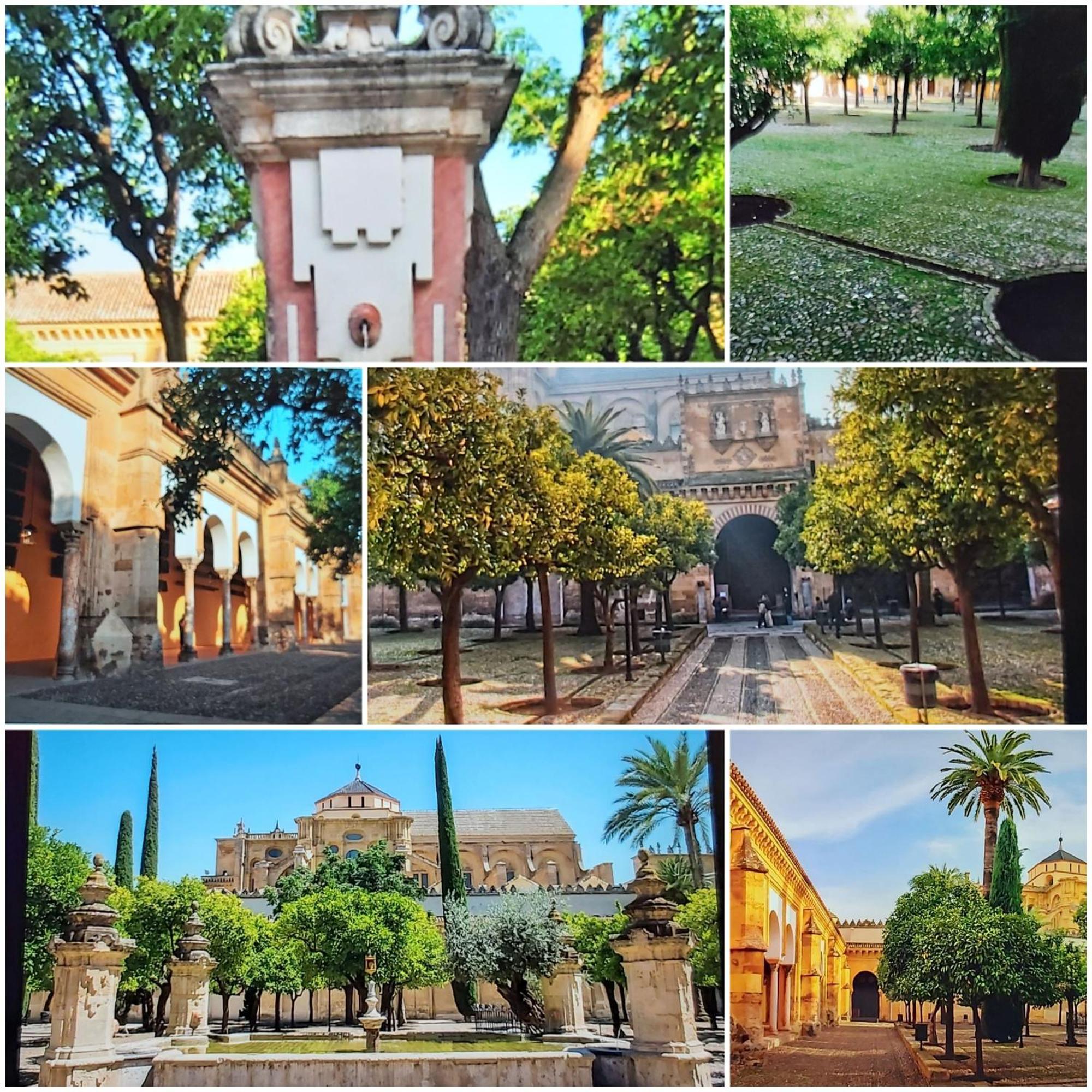 A 20 Metros De La Mezquita Catedral ,Apartamentos Turistico Cespedes 5 Córdoba Cameră foto