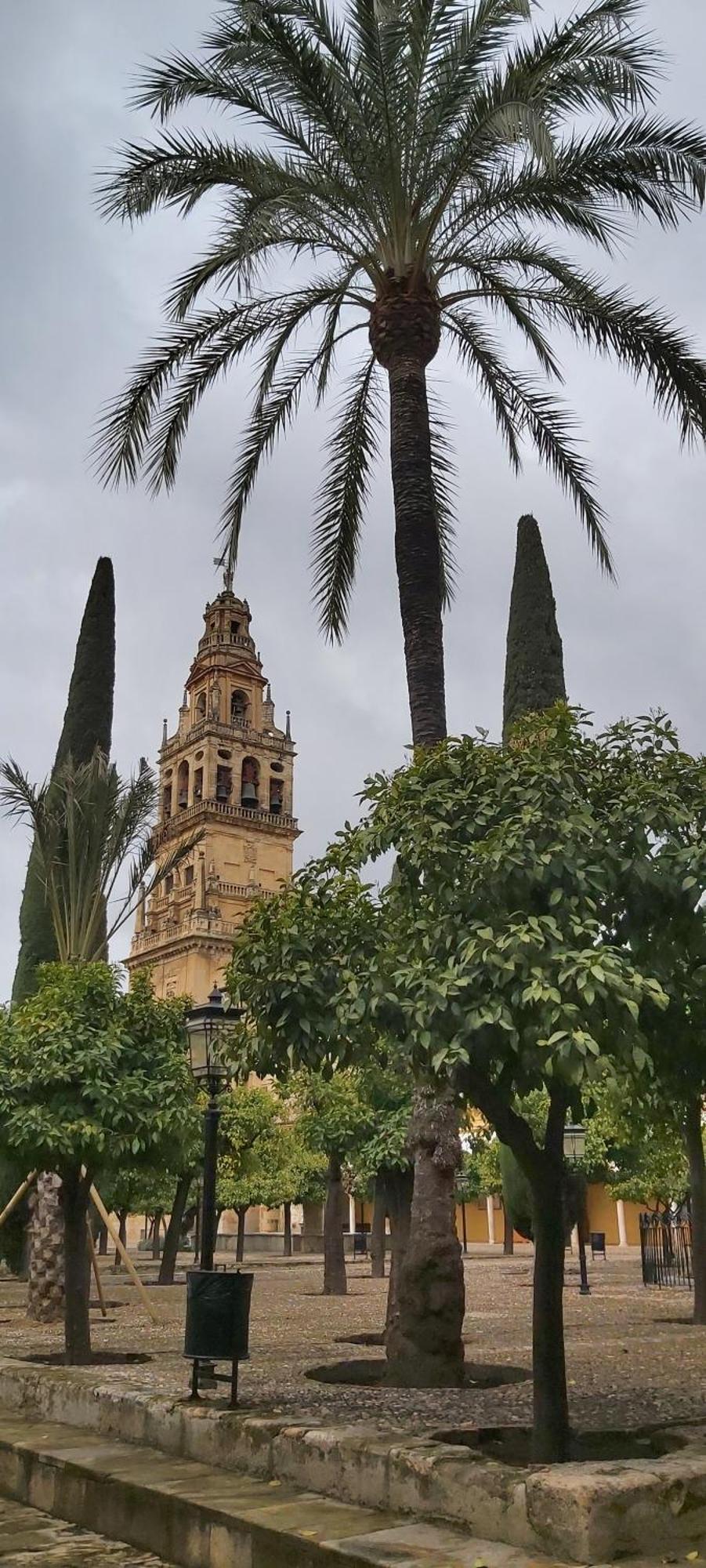A 20 Metros De La Mezquita Catedral ,Apartamentos Turistico Cespedes 5 Córdoba Cameră foto
